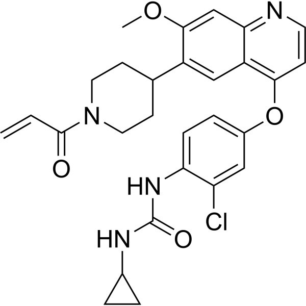 FGFR-IN-11 CAS 番号: 2658488-68-5